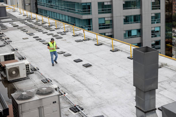 Best Roof Ventilation Installation  in Pquemine, LA