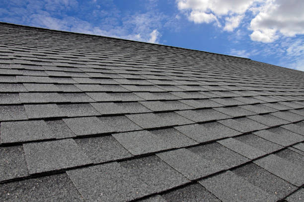 Best Sheet Metal Roofing  in Pquemine, LA